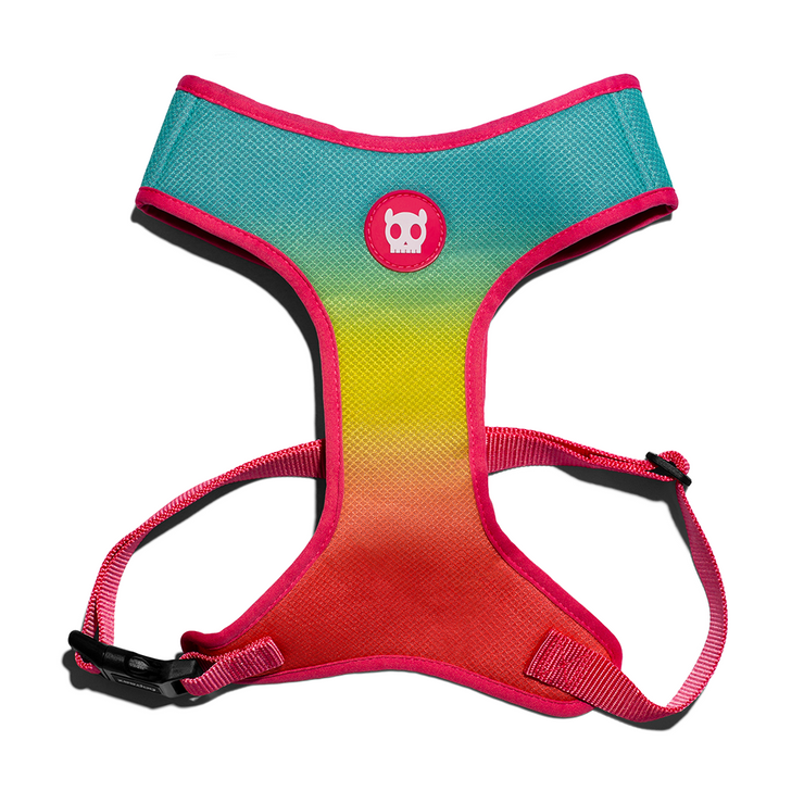 Zee Dog Citrus Air Mesh Plus Harness