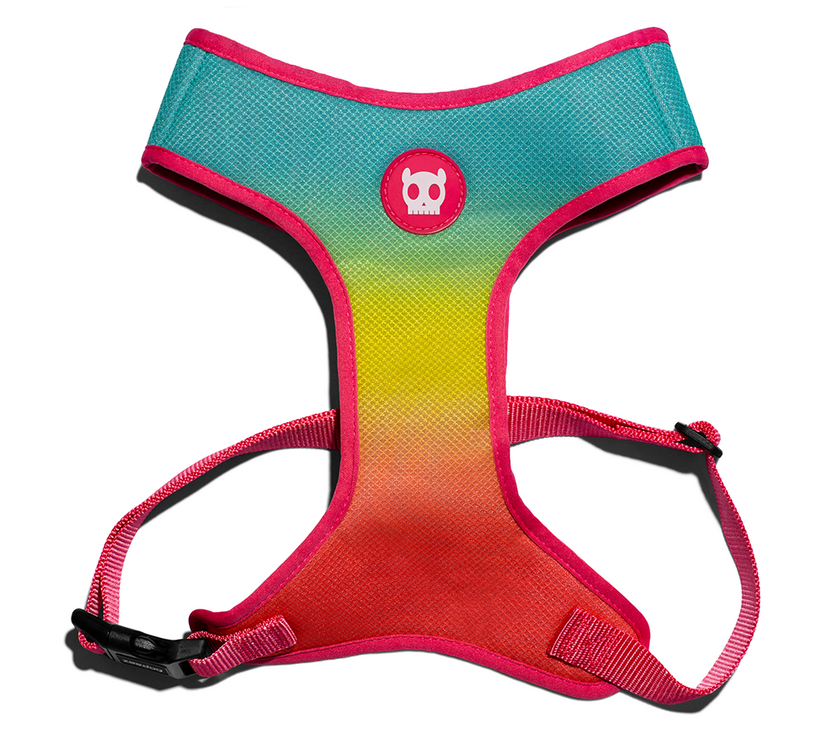 Zee Dog Citrus Air Mesh Plus Harness