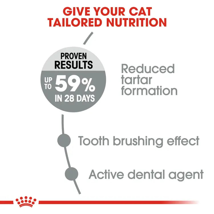 ROYAL CANIN FELINE CARE NUTRITION DENTAL CARE 1.5KG Royal Canin