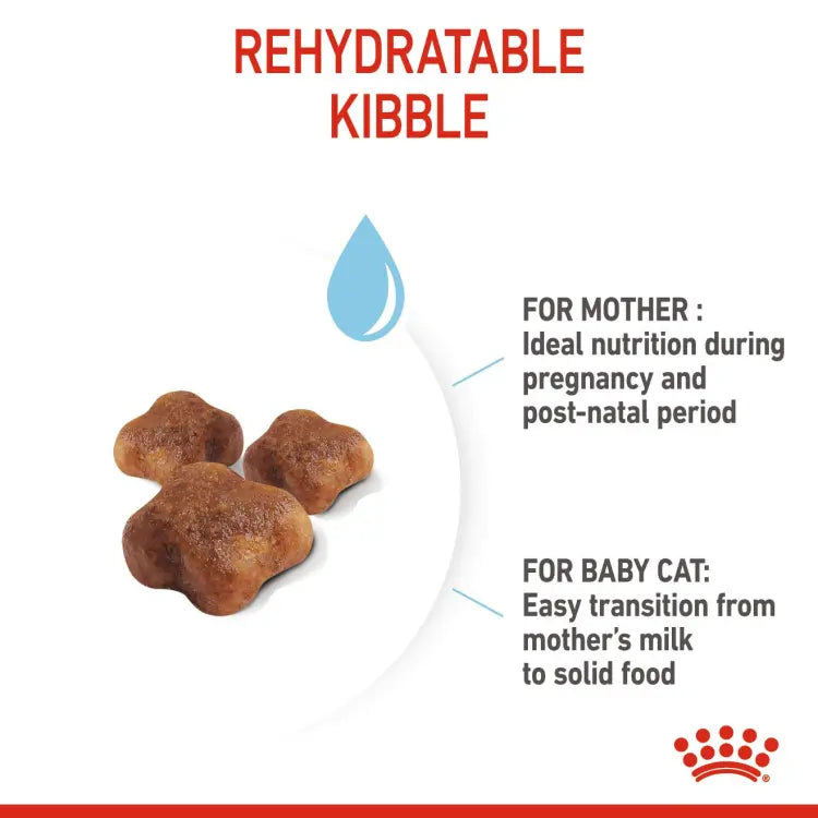 Royal Canin Feline Health Nutrition Mother & Babycat Royal Canin