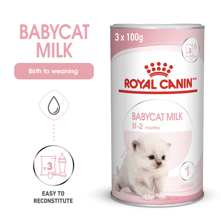Royal Canin Feline Health Nutrition Babycat Milk 300g