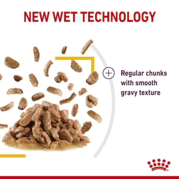 Royal Canin Feline Health Nutrition Sensory Taste Gravy Wet Food 85g Royal Canin