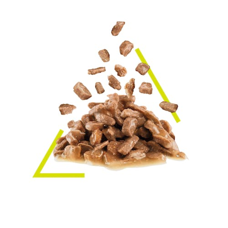 Royal Canin Feline Health Nutrition Sensory Feel Gravy 85g