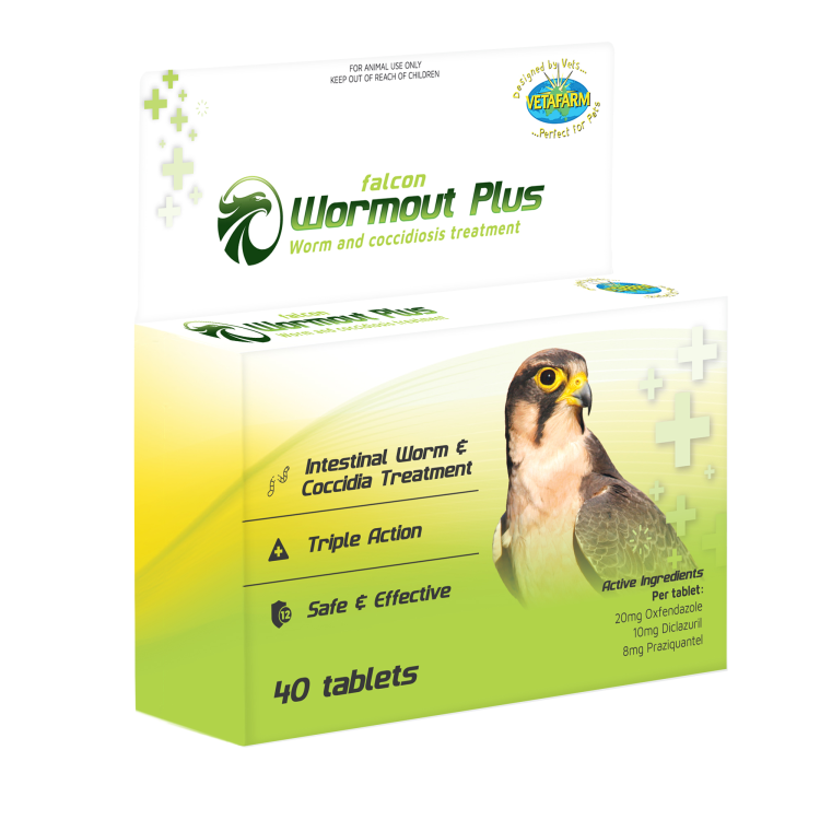 Falcon Wormout Plus 40 Tabs