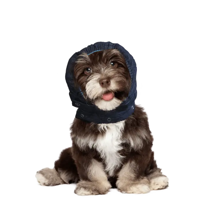 MPS Head Cover MPS