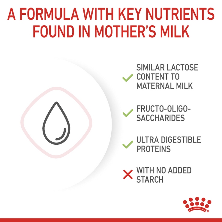 Royal Canin Feline Health Nutrition Babycat Milk 300g