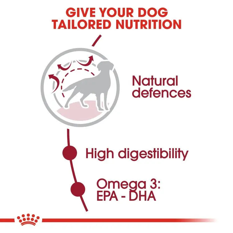 Royal Canin Size Health Nutritiion Medium Adult Royal Canin