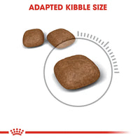 Royal Canin Feline Care Nutrition Urinary Care Royal Canin