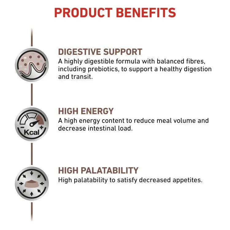 Royal Canin Vet Health Nutrition Feline GastroIntestinal Wet Food Pouches 12x85g Royal Canin