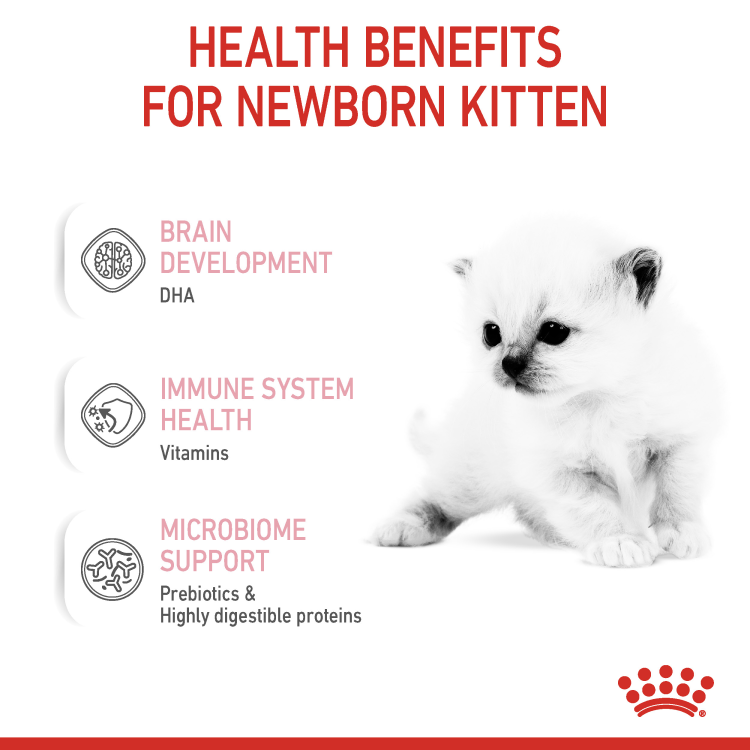 Royal Canin Feline Health Nutrition Babycat Milk 300g