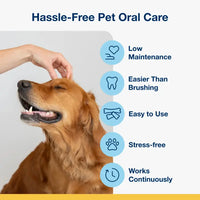 ProDen PlaqueOff Dental Care Bones 482G Sweden Care