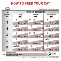 Royal Canin Vet Health Nutrition Feline GastroIntestinal Wet Food Pouches 12x85g Royal Canin