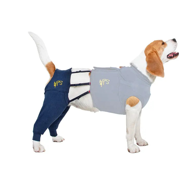 MPS Protective Hind Leg Sleeves MPS