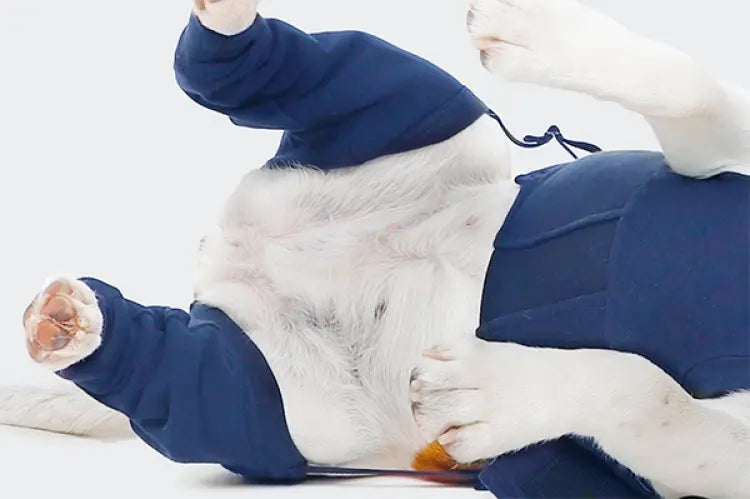 MPS Protective Hind Leg Sleeves MPS