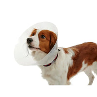 Buster Classic Dog Collar Transparent Kruuse