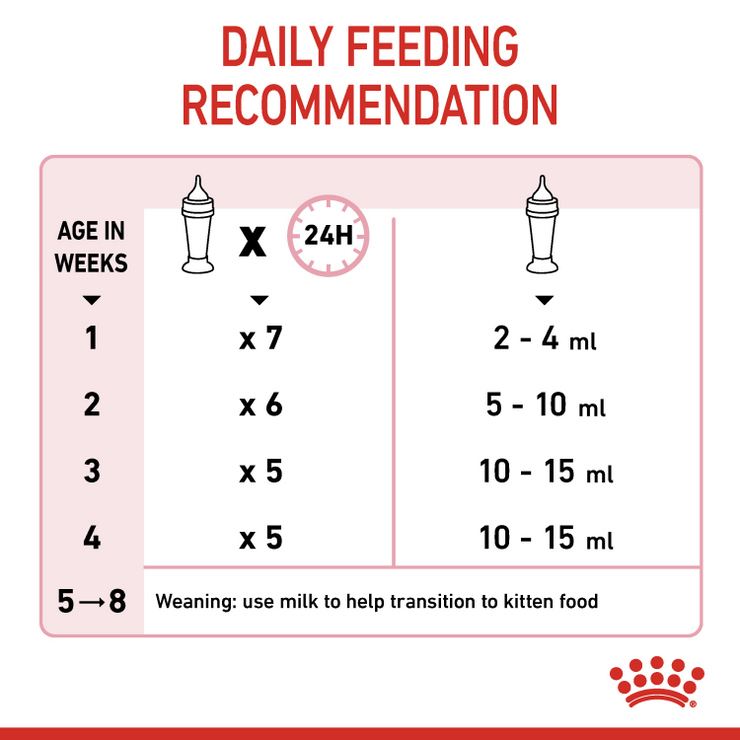 Royal Canin Feline Health Nutrition Babycat Milk 300g