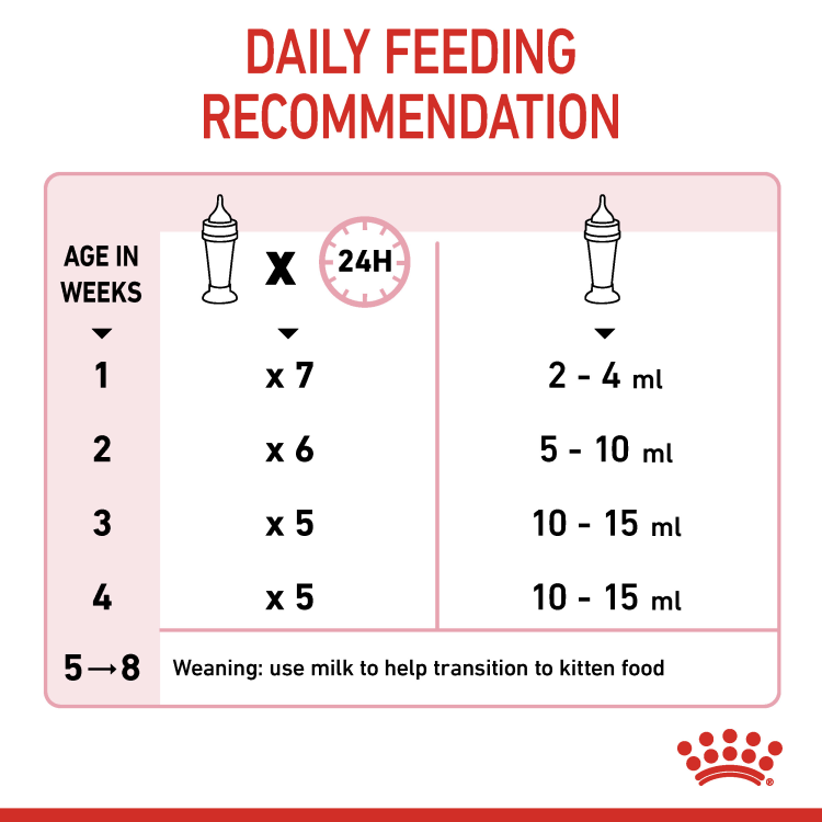 Royal Canin Feline Health Nutrition Babycat Milk 300g