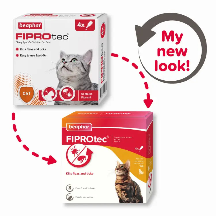 Beaphar Fiprotec for Cat - 4 Pipettes Beaphar