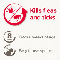 Beaphar Fiprotec for Cat - 4 Pipettes Beaphar