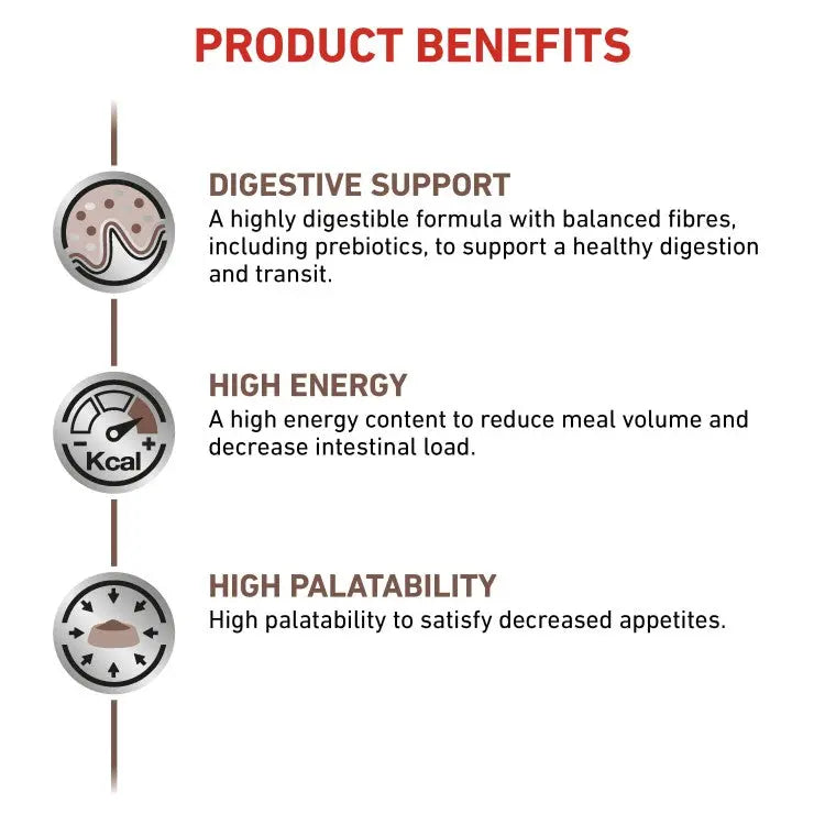 Royal Canin Vet Health Nutrition Feline GastroIntestinal Royal Canin