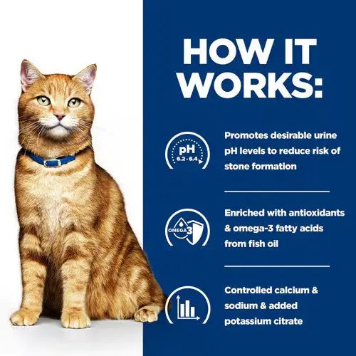 Hill's Prescription Diet c/d Multicare Urinary Wet Cat Food with Chicken Hills