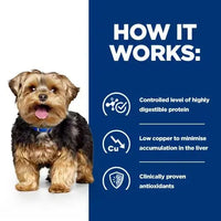 Hill's Prescription Diet l/d Liver Care Dog Wet Food 370g Hills