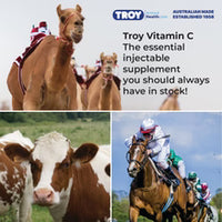 Troy Vitamin C Injection 100ml Kyron Labs