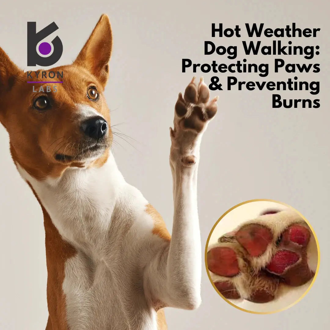 Acrisulph Ointment Kyron Labs