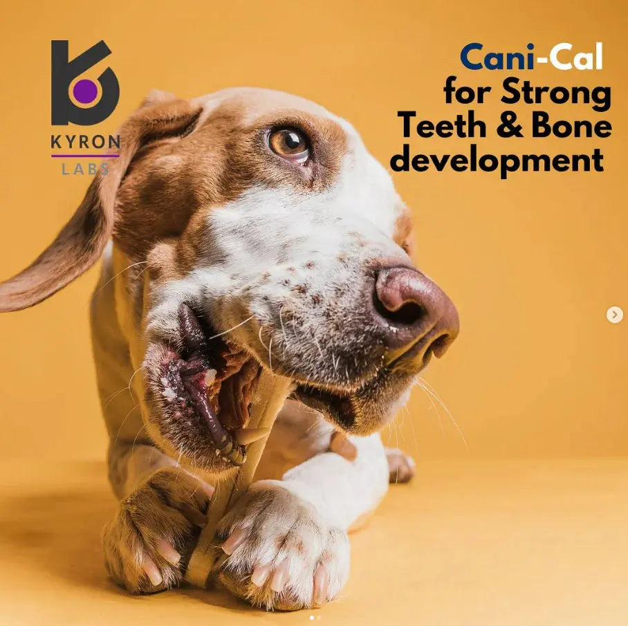 Cani-Cal Calcium Supplement for Dogs 250g Kyron Labs