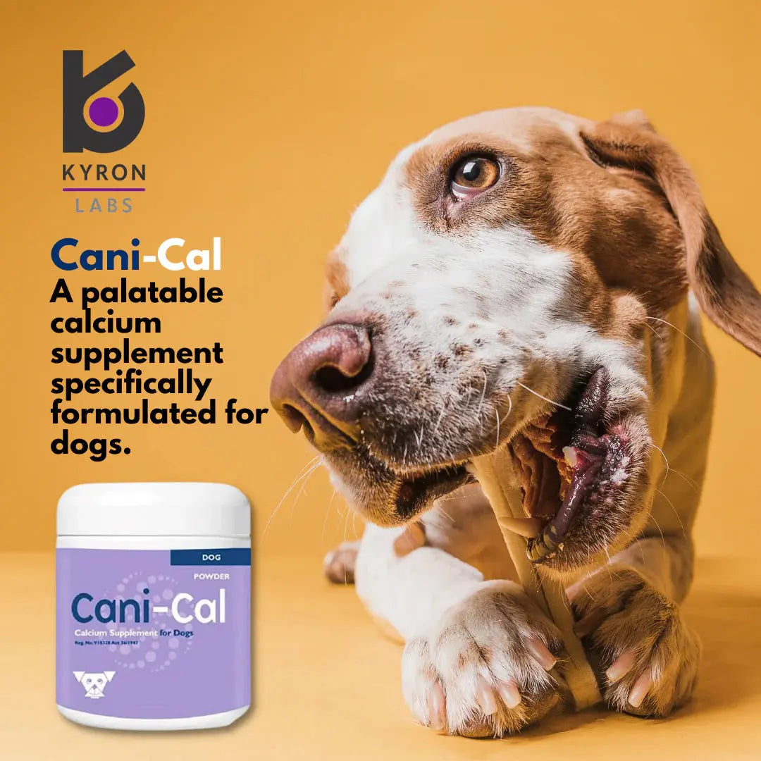 Cani-Cal Calcium Supplement for Dogs 250g Kyron Labs