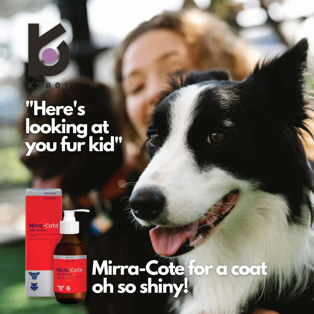 Mirra-Cotte® with Biozinc Dietary Supplement Mirra-Cotte