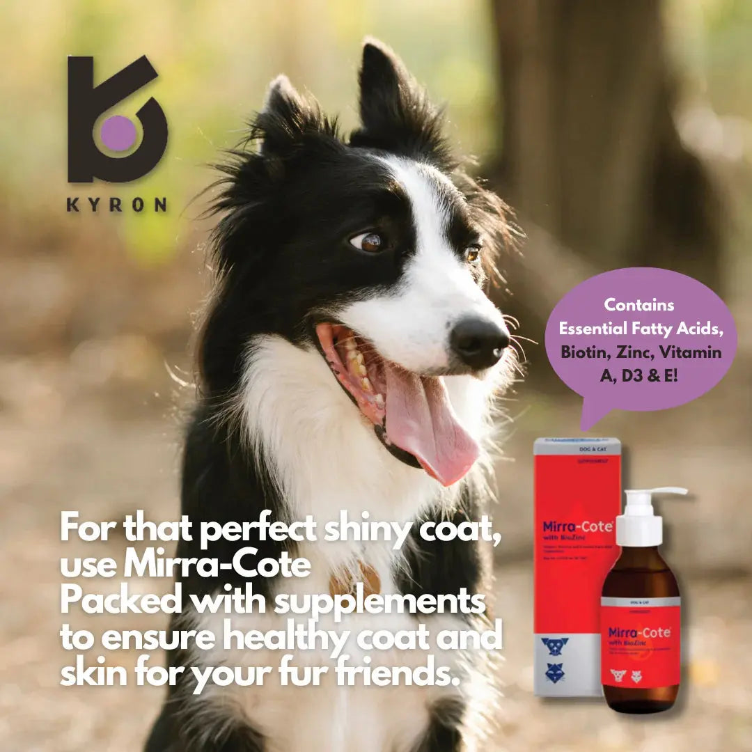 Mirra-Cotte® with Biozinc Dietary Supplement Mirra-Cotte