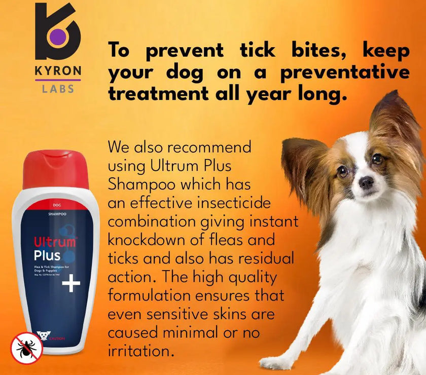 Ultrum Plus Shampoo 250ml Kyron Labs