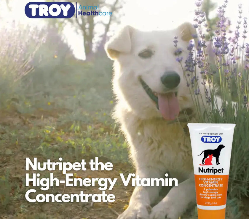 Troy Nutripet 200g Troy Laboratory