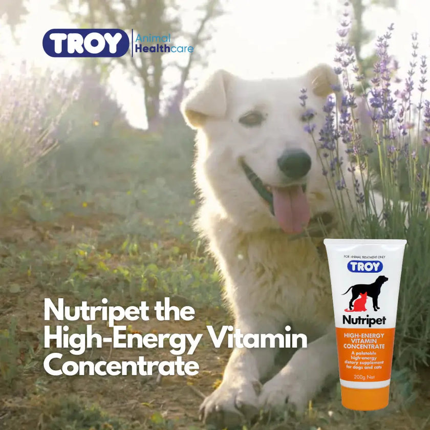 Troy Nutripet 200g Troy Laboratory