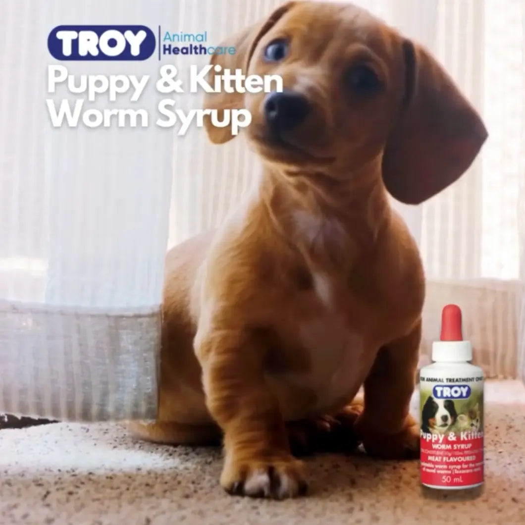 Troy Puppy and Kitten Worm Syrup 50ml Troy Laboratory
