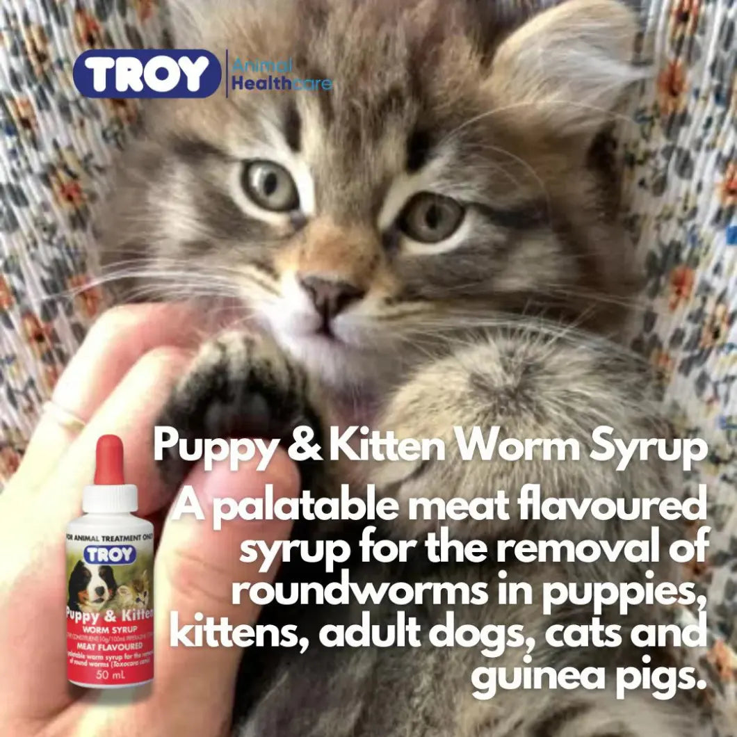 Troy Puppy and Kitten Worm Syrup 50ml Troy Laboratory