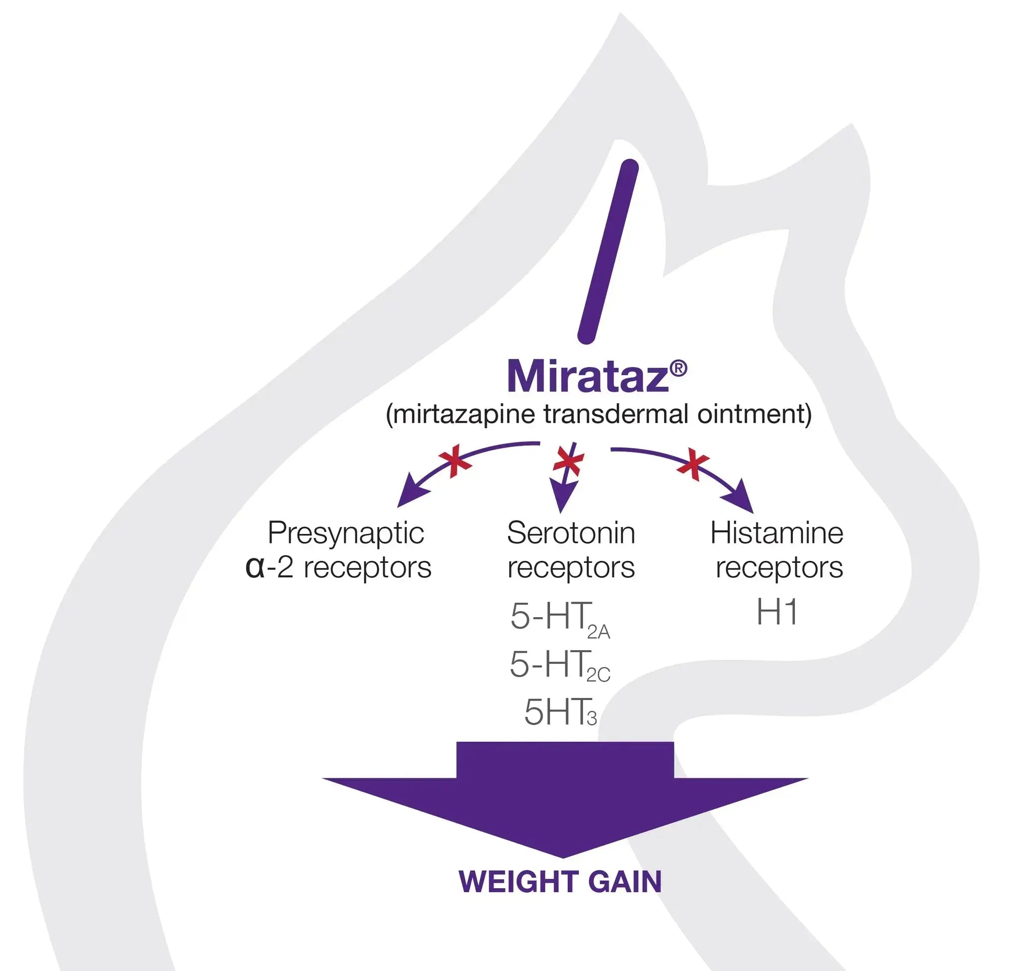 Mirataz  (Mirtazapine transdermal ointment) 3g DECHRA