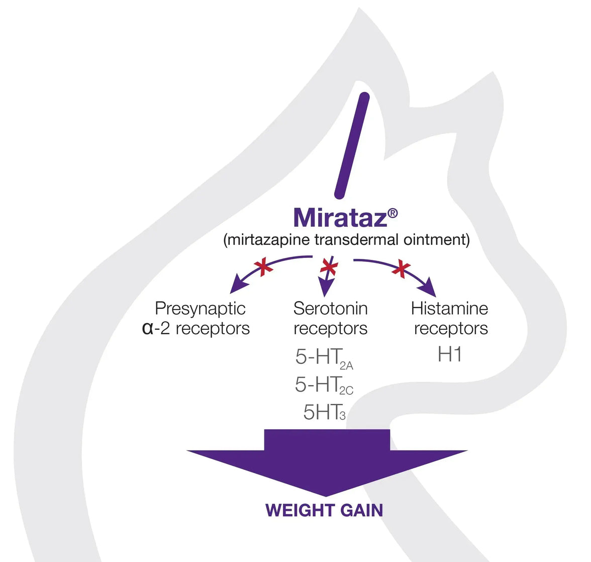 Mirataz  (Mirtazapine transdermal ointment) 3g DECHRA