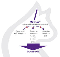 Mirataz  (Mirtazapine transdermal ointment) 3g DECHRA