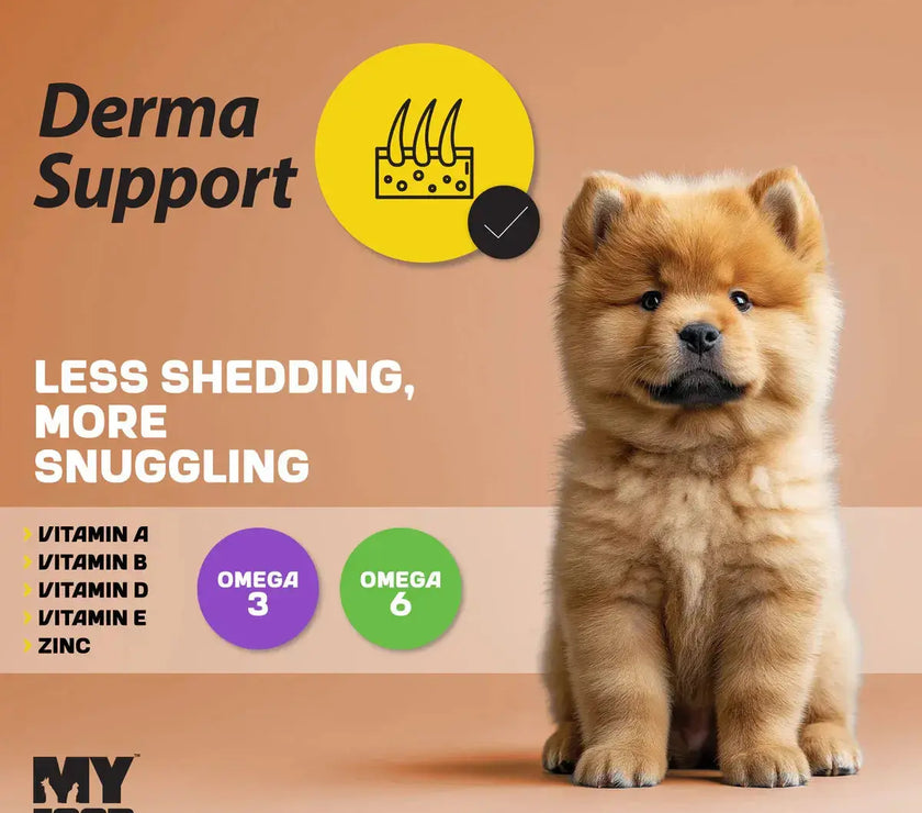 MyFood Puppy Medium & Large Dog Breed Dry Food for Derma Support My Food