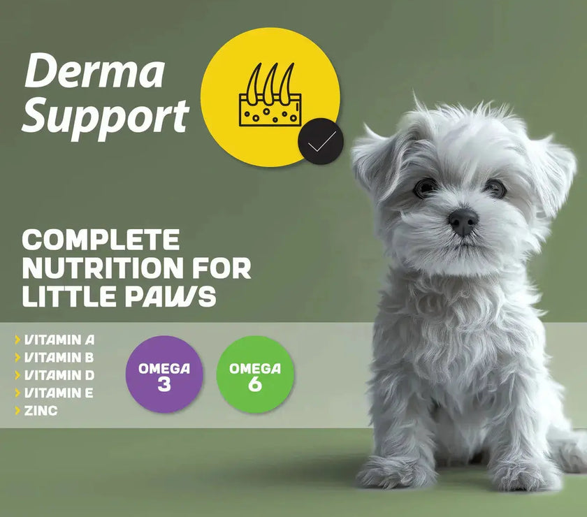 My Food Mini Breed Puppy Dry Dog Food With Lamb & Rice 2.5Kg My Food