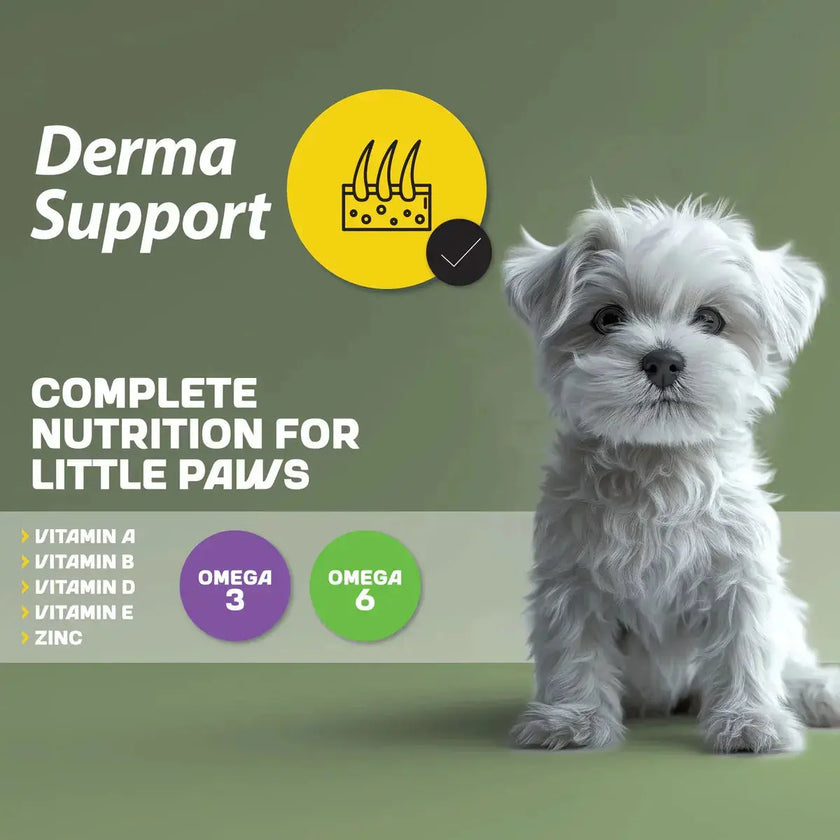 My Food Mini Breed Puppy Dry Dog Food With Lamb & Rice 2.5Kg My Food