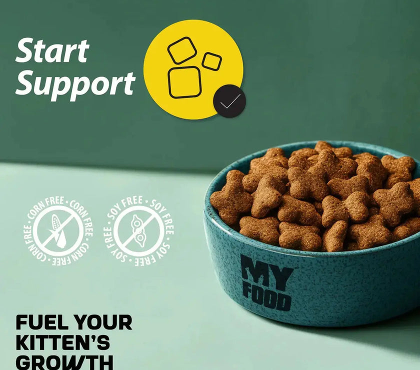 MyFood Kitten Dry Food with Chicken for Start Support 1.5kg My Food