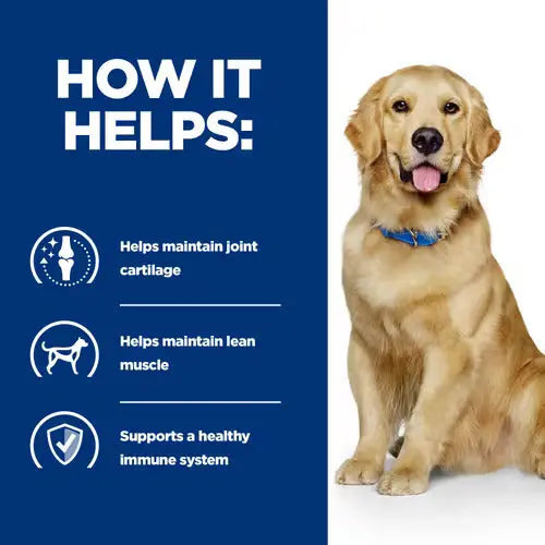 Hill’s Prescription Diet j/d Joint Mobility Canine w/Chicken 12kg Hills