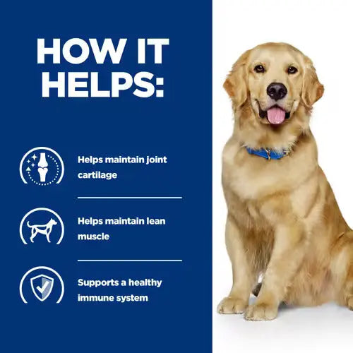 Hill’s Prescription Diet Joint Care j/d Canine Chicken 370g Hills