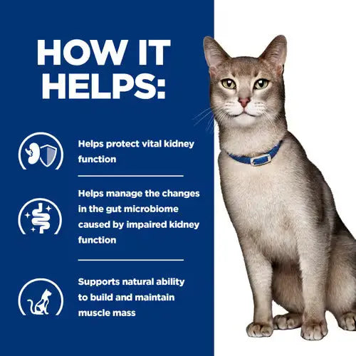 Hill’s Prescription Diet k/d Kidney Care Feline Wet Food with Chicken 156g Hills