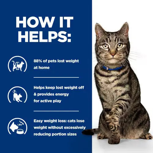 Hill's Prescription Diet Metabolic Stew for Cats flavoured with Chicken & Vegetables 82g Hills
