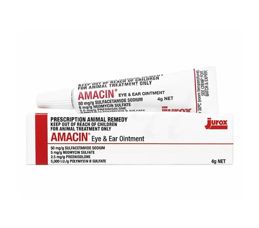 Jurox Amacin Antibiotics Eye and Ear Ointment for Dogs & Cats 4g Jurox