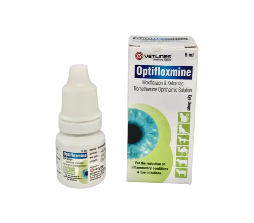Optifloxamine NSAID Eye Drop 5ml - Intervetclinic